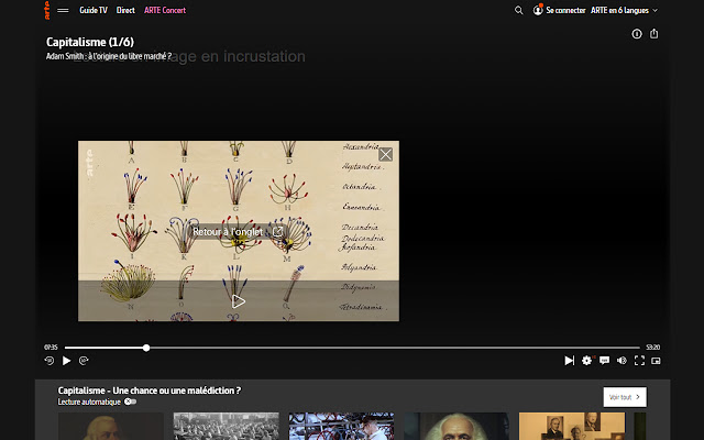 ARTE.TV Picture in picture bouton  from Chrome web store to be run with OffiDocs Chromium online
