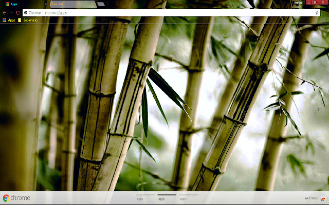 Bamboo Earth Green Nature Photography Tree  from Chrome web store to be run with OffiDocs Chromium online