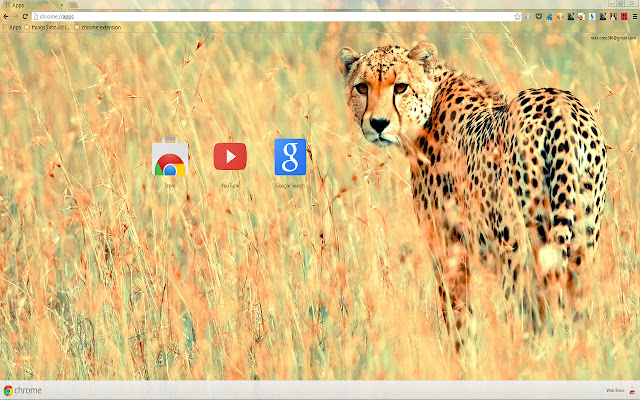 Beautiful Cheetah for 1366 X 768 resolution  from Chrome web store to be run with OffiDocs Chromium online