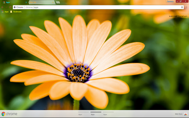 Beautiful Flower Nature  from Chrome web store to be run with OffiDocs Chromium online