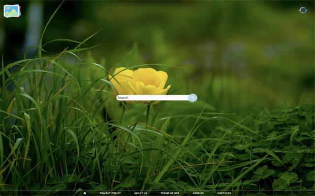 Best Wallpapers  from Chrome web store to be run with OffiDocs Chromium online