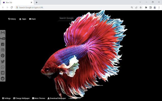 Betta Fish Wallpaper New Tab  from Chrome web store to be run with OffiDocs Chromium online