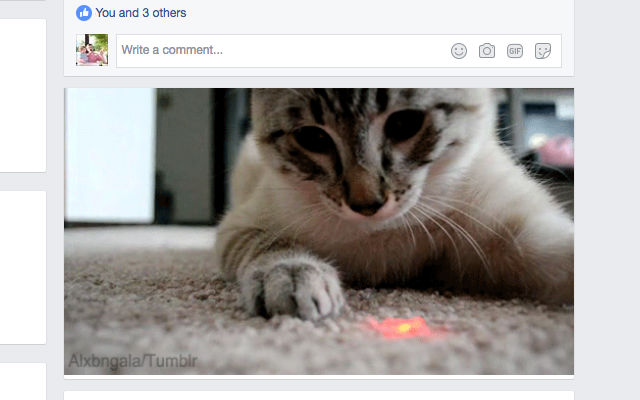Better with Cats  from Chrome web store to be run with OffiDocs Chromium online