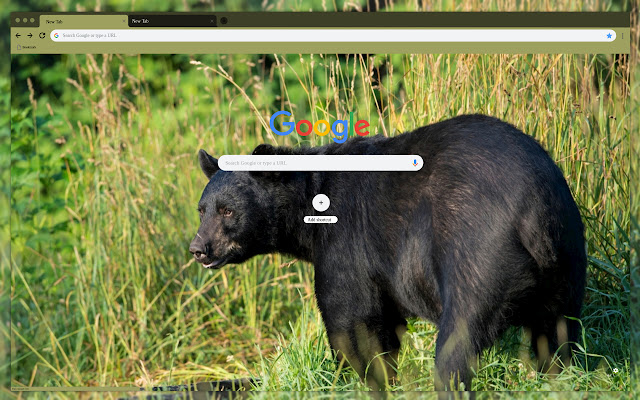 Black bear  from Chrome web store to be run with OffiDocs Chromium online