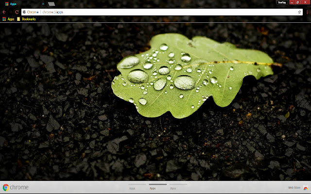 Black Fall Green Nature Water  from Chrome web store to be run with OffiDocs Chromium online