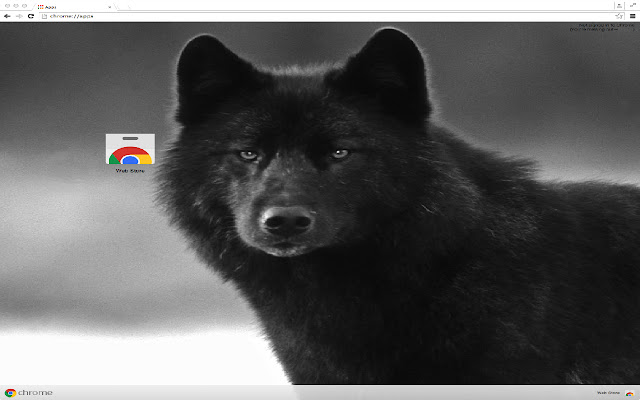 Black Wolf Theme  from Chrome web store to be run with OffiDocs Chromium online