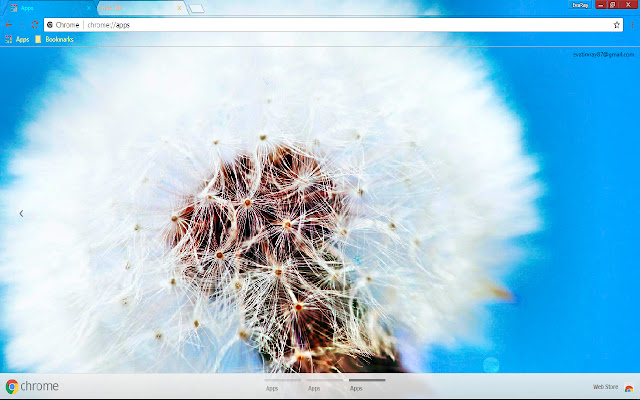 Blowball Blue Dandelion Flower  from Chrome web store to be run with OffiDocs Chromium online