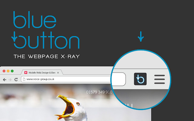 Blue Button | the webpage X ray  from Chrome web store to be run with OffiDocs Chromium online