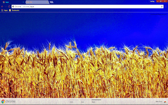 Blue Field Photography Wheat  from Chrome web store to be run with OffiDocs Chromium online