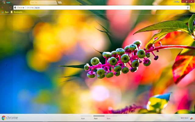 Blur Bokeh Colorful Nature Spring  from Chrome web store to be run with OffiDocs Chromium online