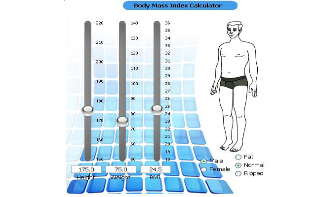 BMI Calci  from Chrome web store to be run with OffiDocs Chromium online