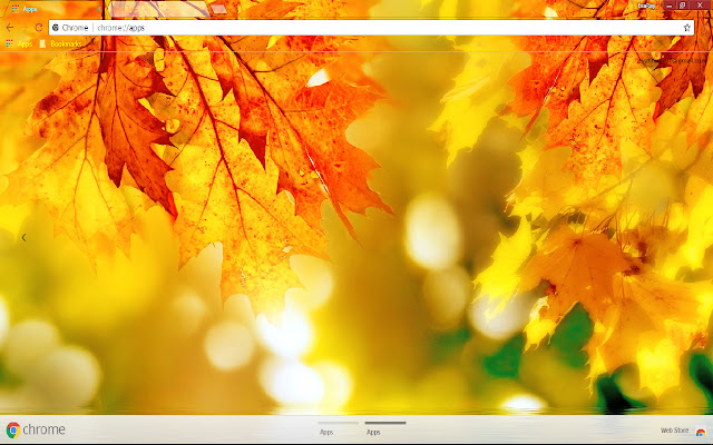 Bokeh Colorful Fall Leaf  from Chrome web store to be run with OffiDocs Chromium online