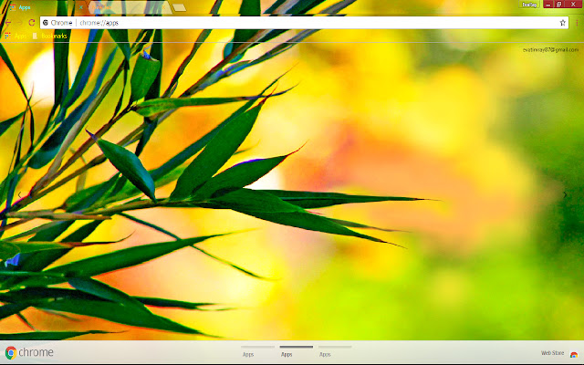 Bokeh Colorful Leaf Nature  from Chrome web store to be run with OffiDocs Chromium online