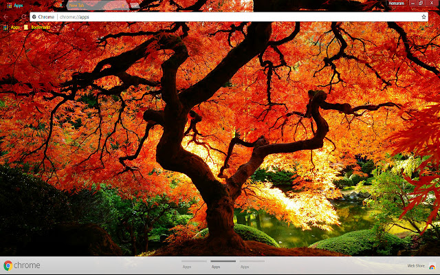 Bonny Fall Nature de Chrome web store se ejecutará con OffiDocs Chromium en línea