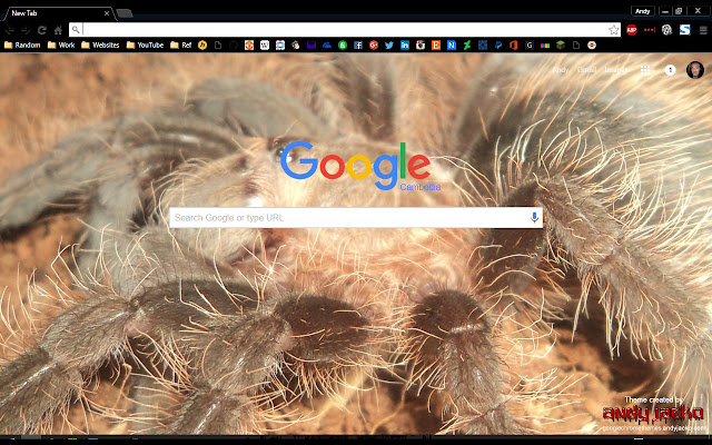 Brachypelma albopilosum Spiderling  from Chrome web store to be run with OffiDocs Chromium online