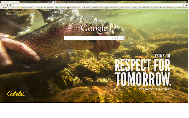 Cabelas_Chrome_Theme ຈາກ Chrome web store ທີ່ຈະດໍາເນີນການກັບ OffiDocs Chromium ອອນໄລນ໌