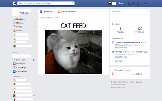 Cat Feed  from Chrome web store to be run with OffiDocs Chromium online