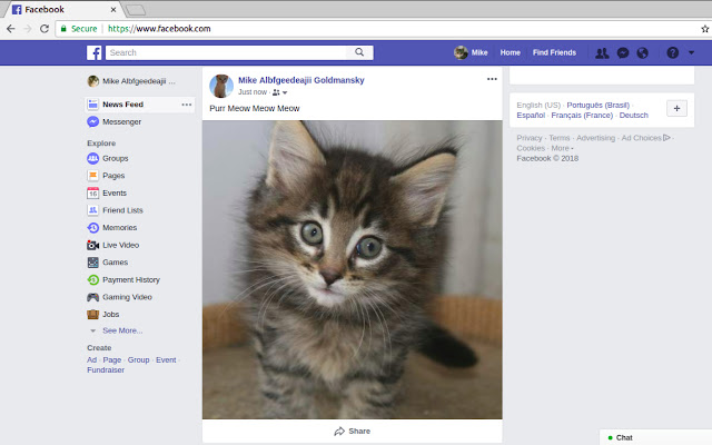 Cat Feed Replacer  from Chrome web store to be run with OffiDocs Chromium online