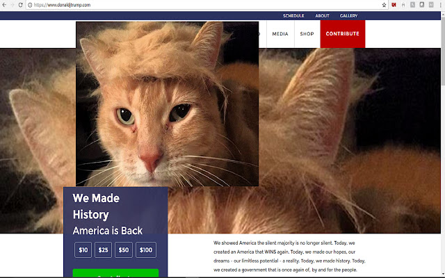 Cat > Trump  from Chrome web store to be run with OffiDocs Chromium online