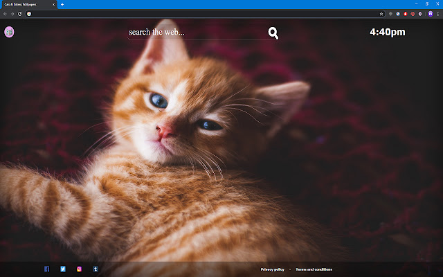 Cats  Kittens Wallpapers  from Chrome web store to be run with OffiDocs Chromium online