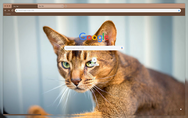 cats view  from Chrome web store to be run with OffiDocs Chromium online