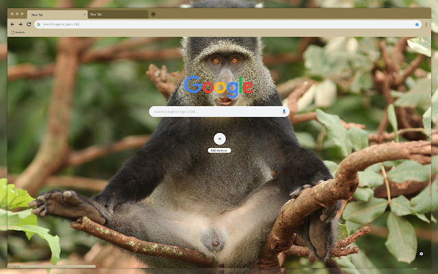 Chimpanzee  from Chrome web store to be run with OffiDocs Chromium online