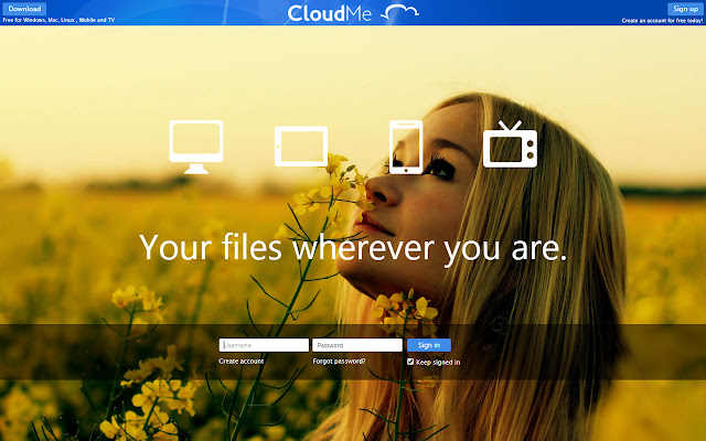 CloudMe  from Chrome web store to be run with OffiDocs Chromium online