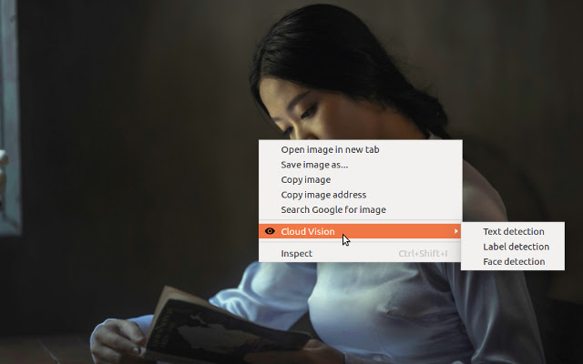 Cloud Vision  from Chrome web store to be run with OffiDocs Chromium online