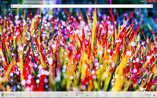 Colorful Dew Nature Red Spring  from Chrome web store to be run with OffiDocs Chromium online