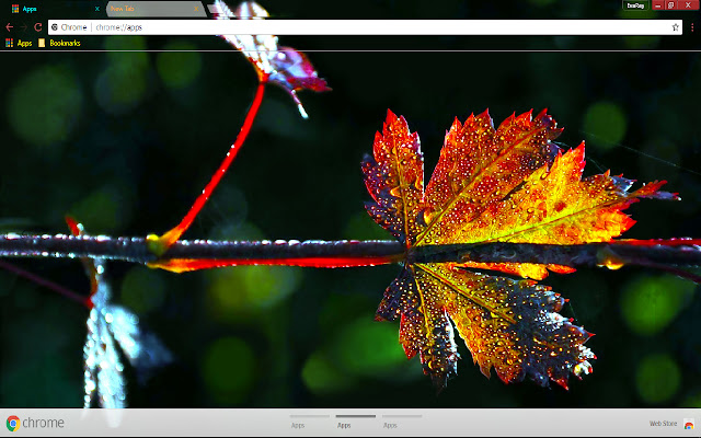 Colorful Fall Green Leaf Nature  from Chrome web store to be run with OffiDocs Chromium online