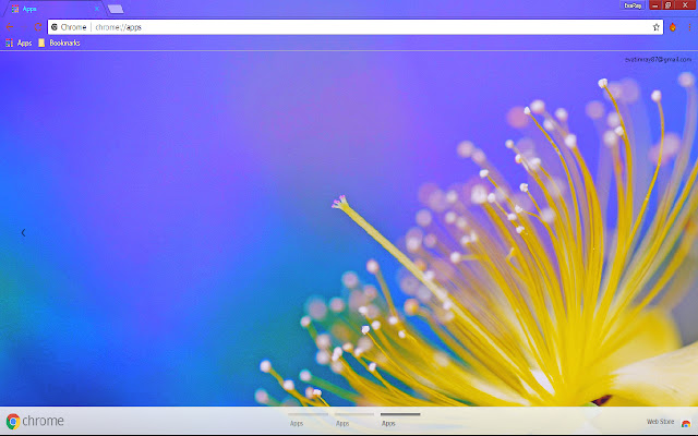 Colorful Flower Nature Spring  from Chrome web store to be run with OffiDocs Chromium online