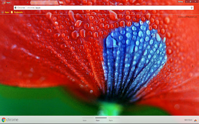 Colorful Flower Pastel Petal Red  from Chrome web store to be run with OffiDocs Chromium online