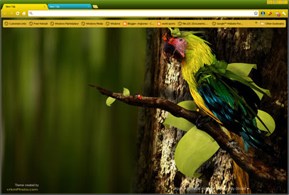 Colorful Parrot  from Chrome web store to be run with OffiDocs Chromium online