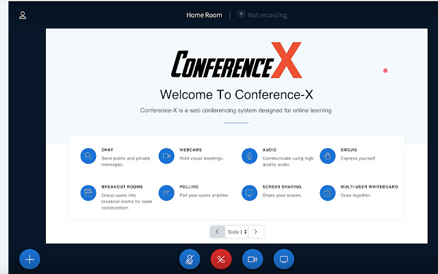 ConferenceX Screenshare Extension  from Chrome web store to be run with OffiDocs Chromium online