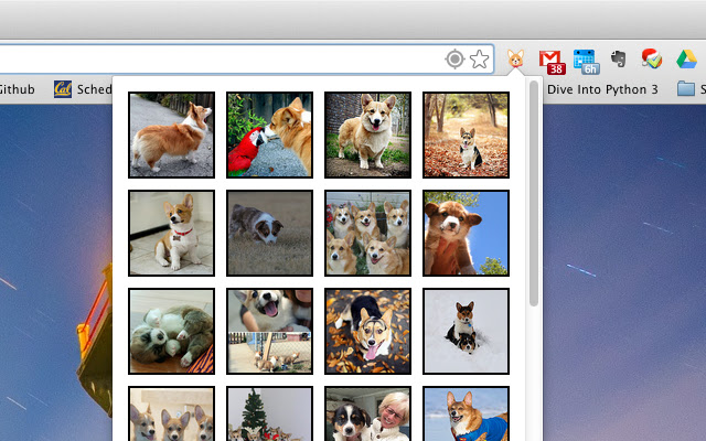 Corgi  from Chrome web store to be run with OffiDocs Chromium online