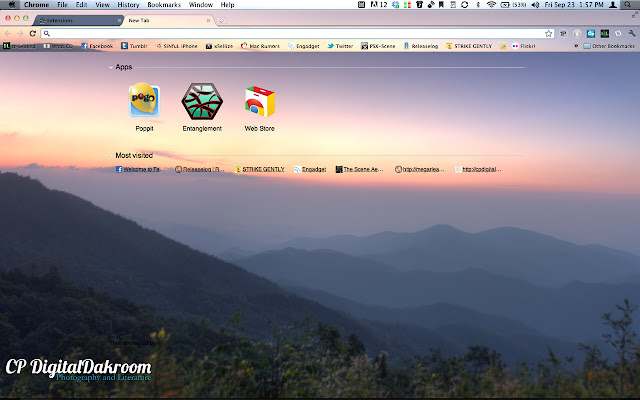 CPDD Mount Mitchell Rising  from Chrome web store to be run with OffiDocs Chromium online