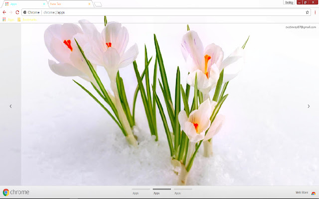 Crocus Flower Nature Snow Spring  from Chrome web store to be run with OffiDocs Chromium online