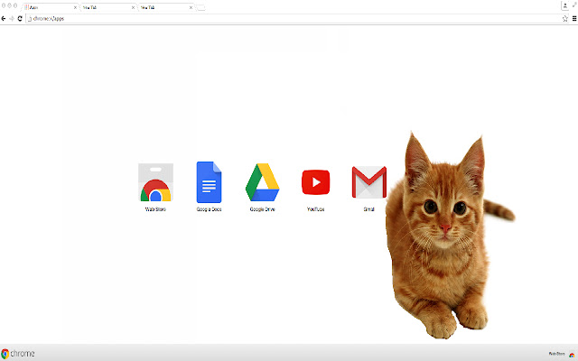 Cute Cat  from Chrome web store to be run with OffiDocs Chromium online