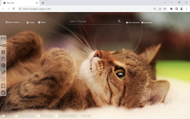 Cute Cats  Kittens Wallpaper  from Chrome web store to be run with OffiDocs Chromium online