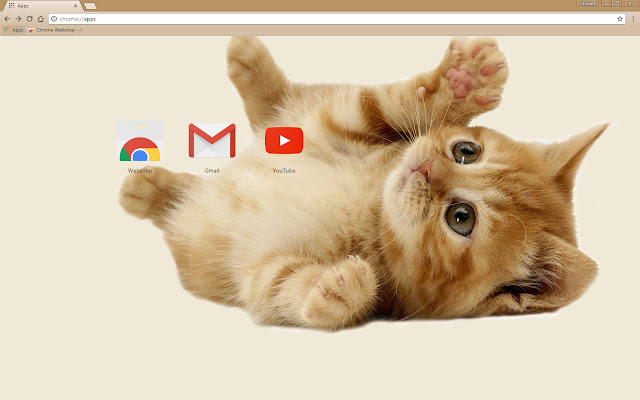 Cute kitten  from Chrome web store to be run with OffiDocs Chromium online