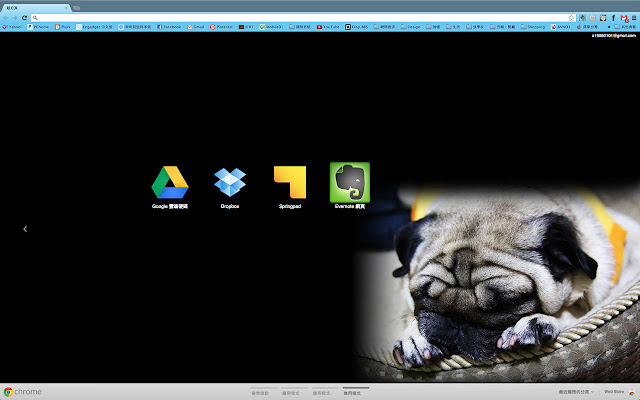 cutepug  from Chrome web store to be run with OffiDocs Chromium online