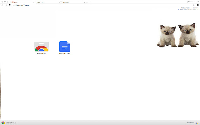 Cute Siamese Kittens Theme  from Chrome web store to be run with OffiDocs Chromium online