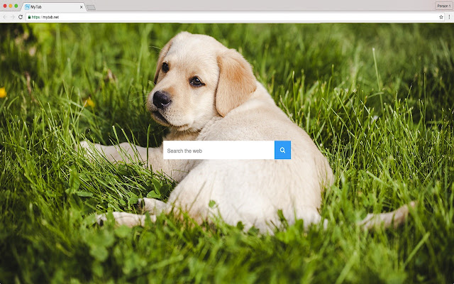 Cute Zoo  from Chrome web store to be run with OffiDocs Chromium online