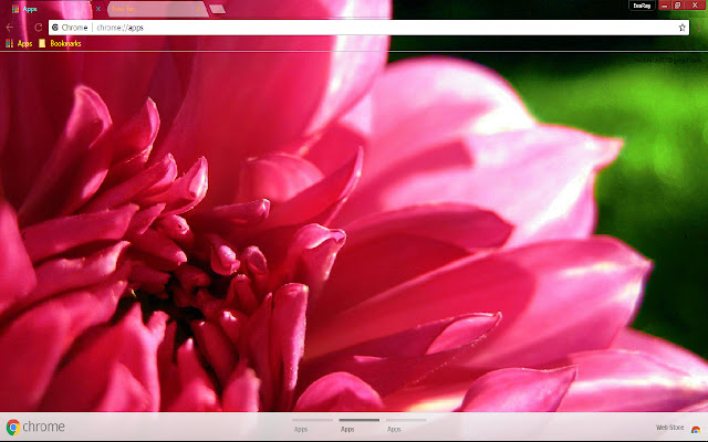 Dahlia Earth Flower Nature Pink із веб-магазину Chrome буде працювати з OffiDocs Chromium онлайн