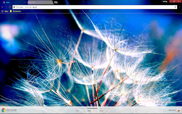 Dandelion Flower Spring White  from Chrome web store to be run with OffiDocs Chromium online