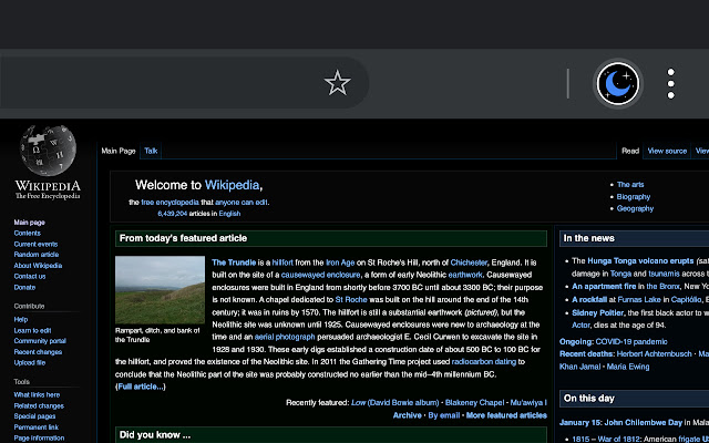 Dark Reader  from Chrome web store to be run with OffiDocs Chromium online