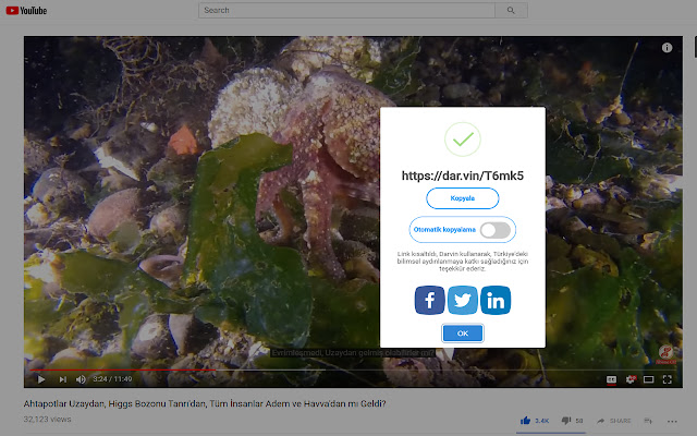 Darvin  from Chrome web store to be run with OffiDocs Chromium online