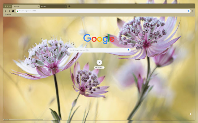 Delicate flower  from Chrome web store to be run with OffiDocs Chromium online