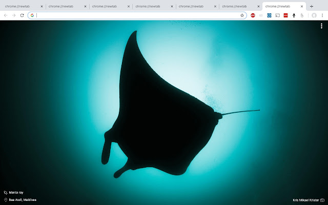 Diving photo tab  from Chrome web store to be run with OffiDocs Chromium online