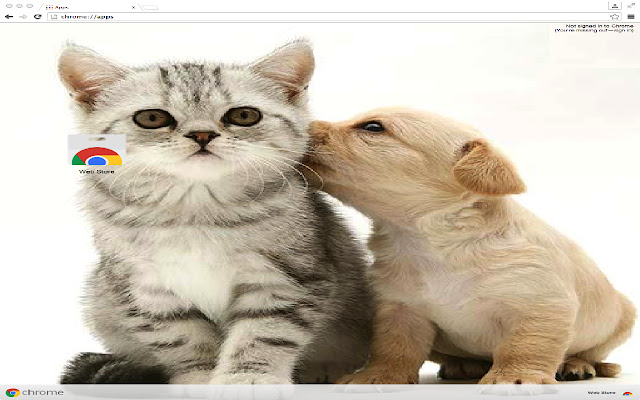 Dog And Cat Love Theme  from Chrome web store to be run with OffiDocs Chromium online